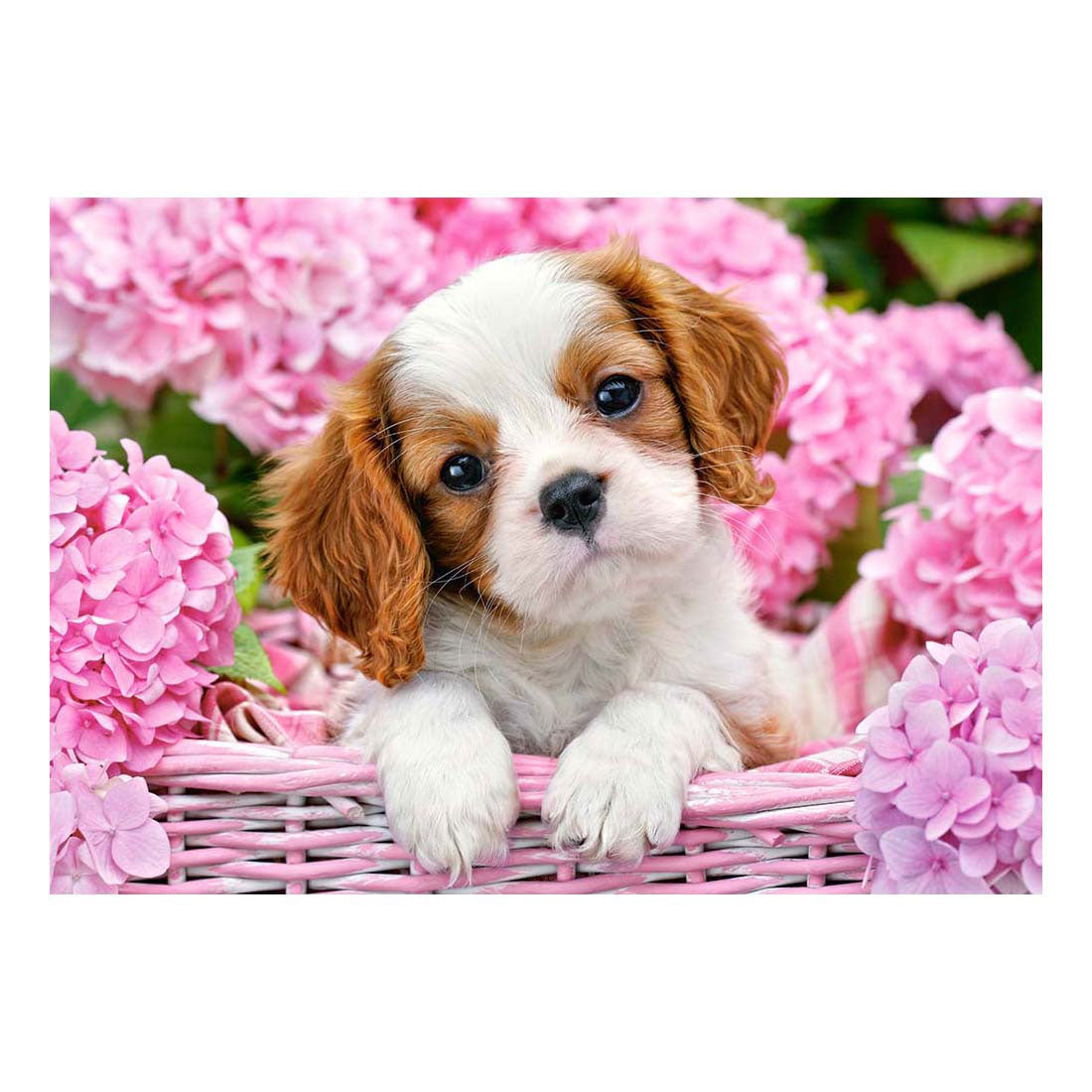 Castorland legpuzzel pup in pink flowers, 500st.