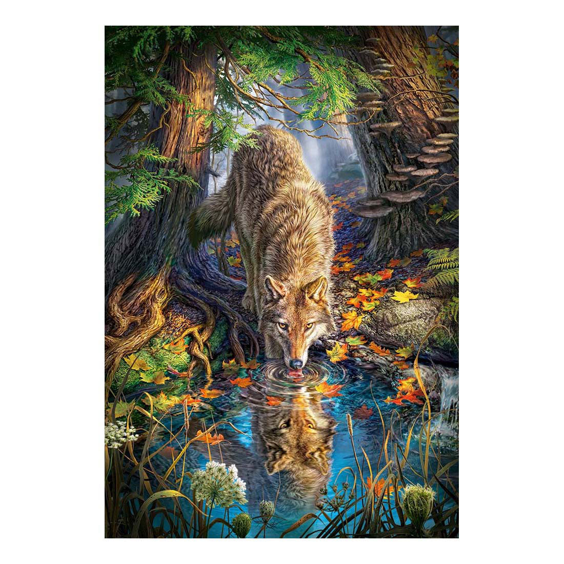 Castorland legpuzzel wolf in the wild, 1500st.