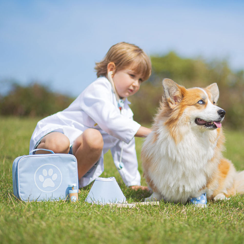 BIGJIGS dierendokter koffer