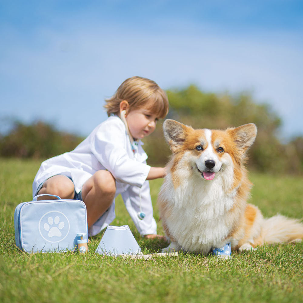 BIGJIGS dierendokter koffer