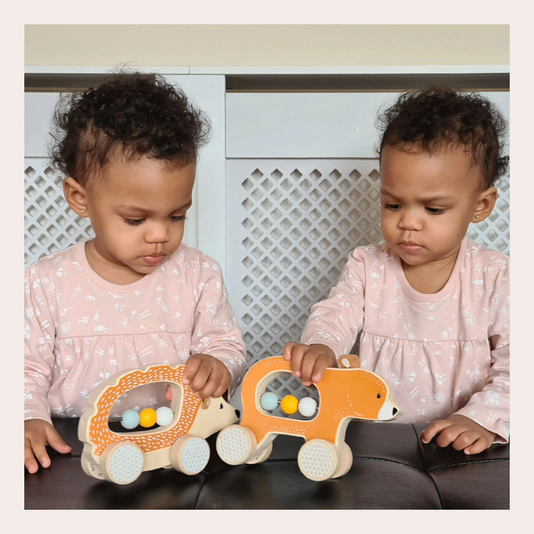 Bigjigs Toys Bigjigs houten duw egel, 100%fsc