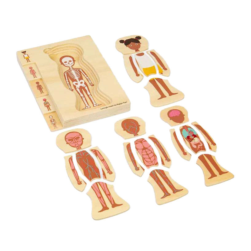 BIGJIGS houten anatomiepuzzel - meisje, 26st.