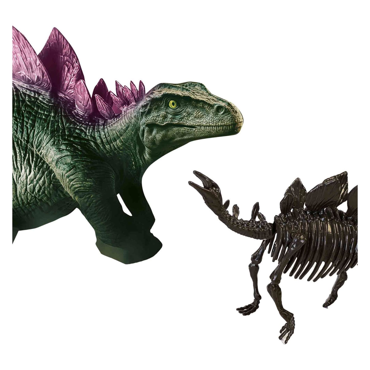 SES Creative Ses explore dino en skelet opgraven 2in1- stegosaurus