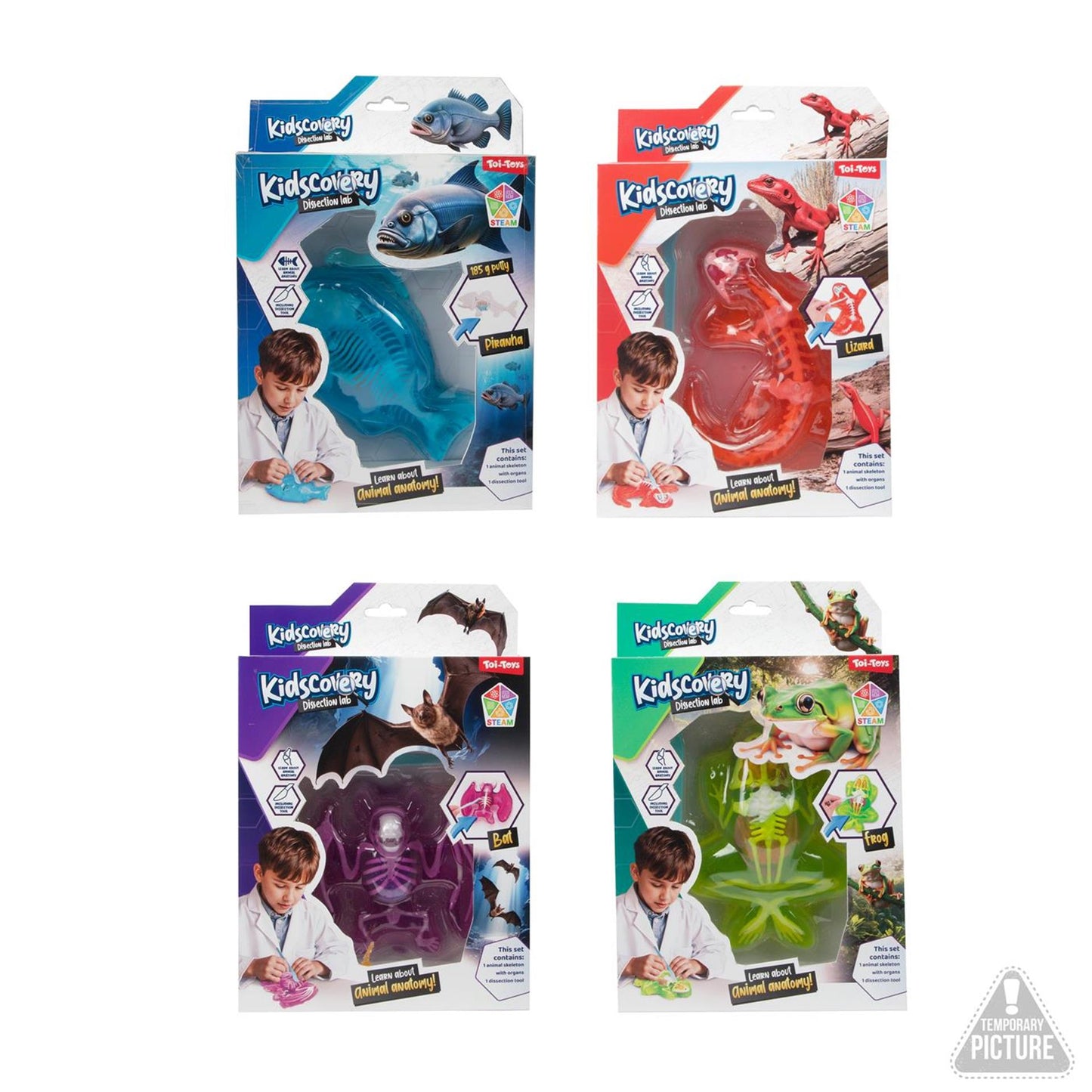 Toi-Toys slijm uitgraafset dier met tool