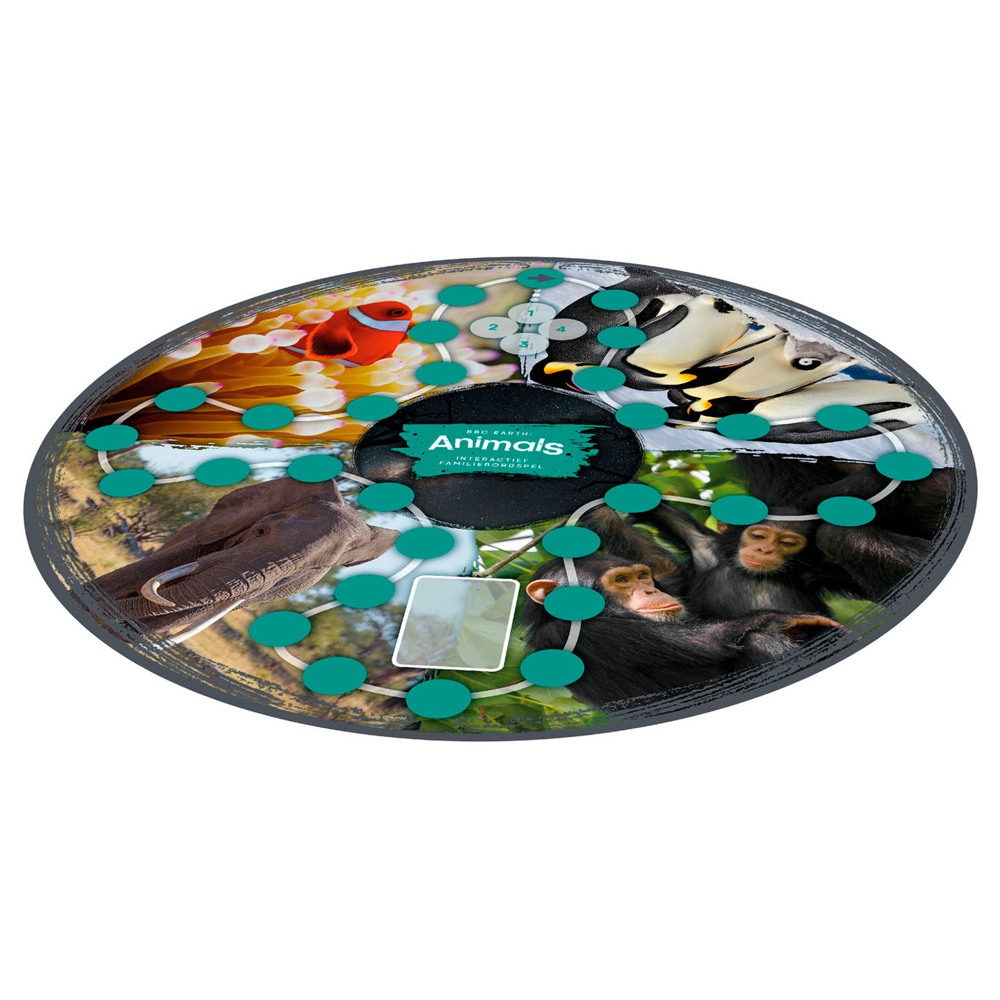 Identity Games Bbc earth animals interactief familiebordspel