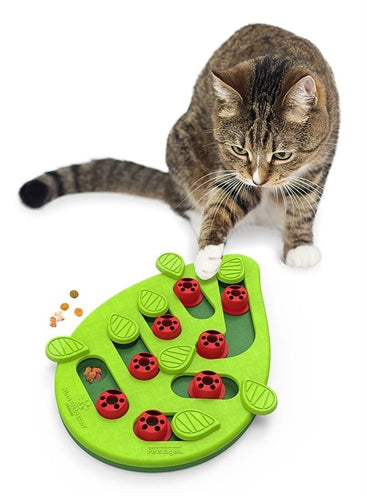 Nina Ottosson puzzle play buggin out groen