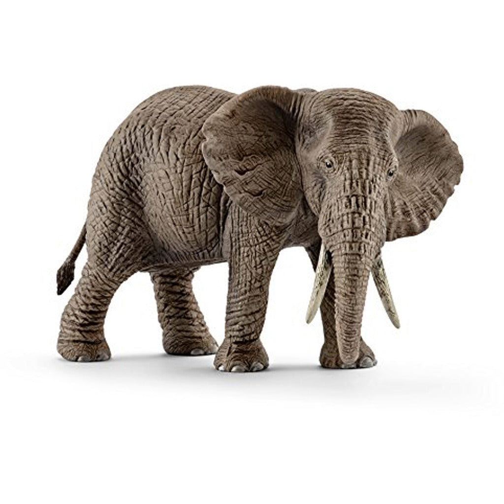 Schleich afrikaans olifant vrouwtje