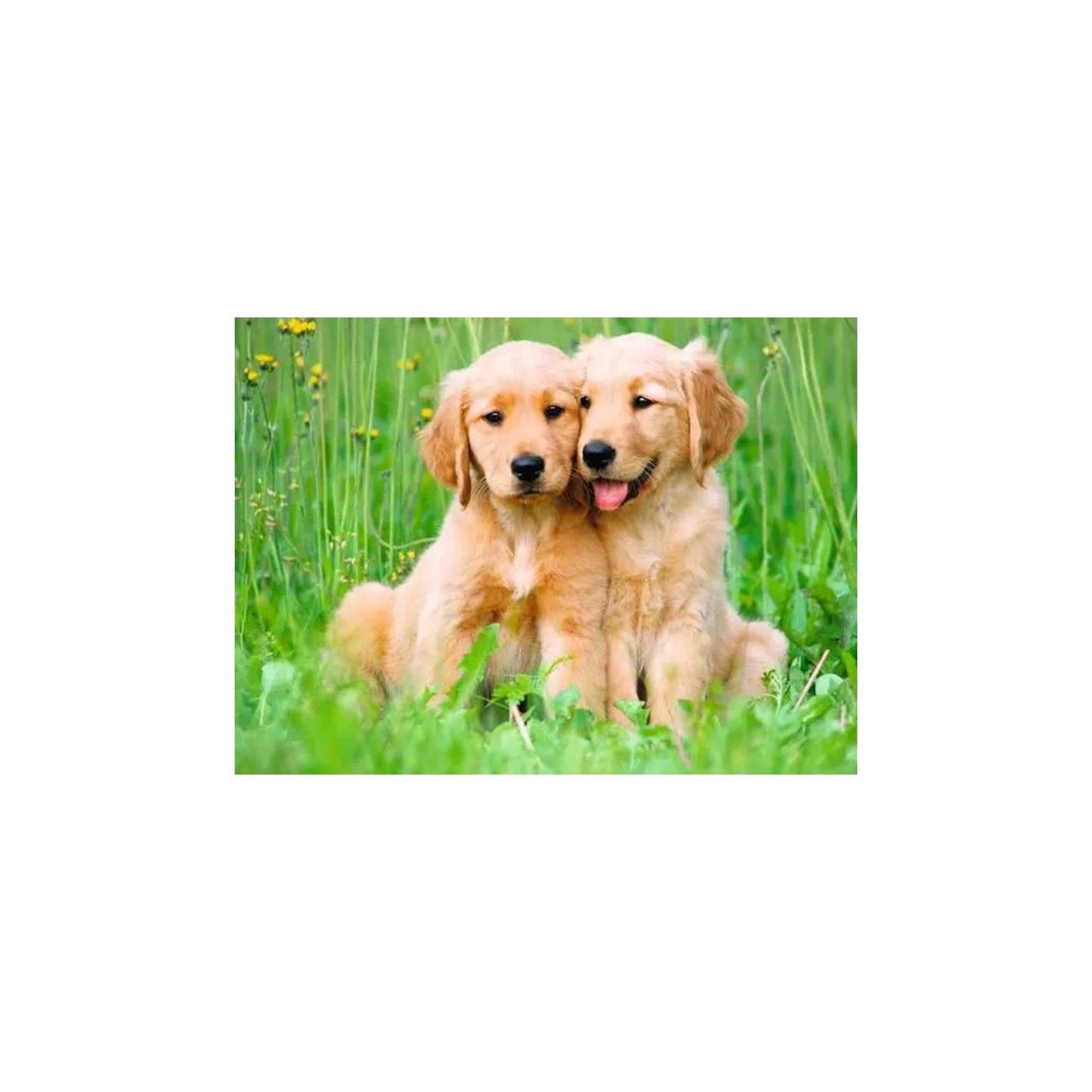 Ravensburger puzzel golden retriever
