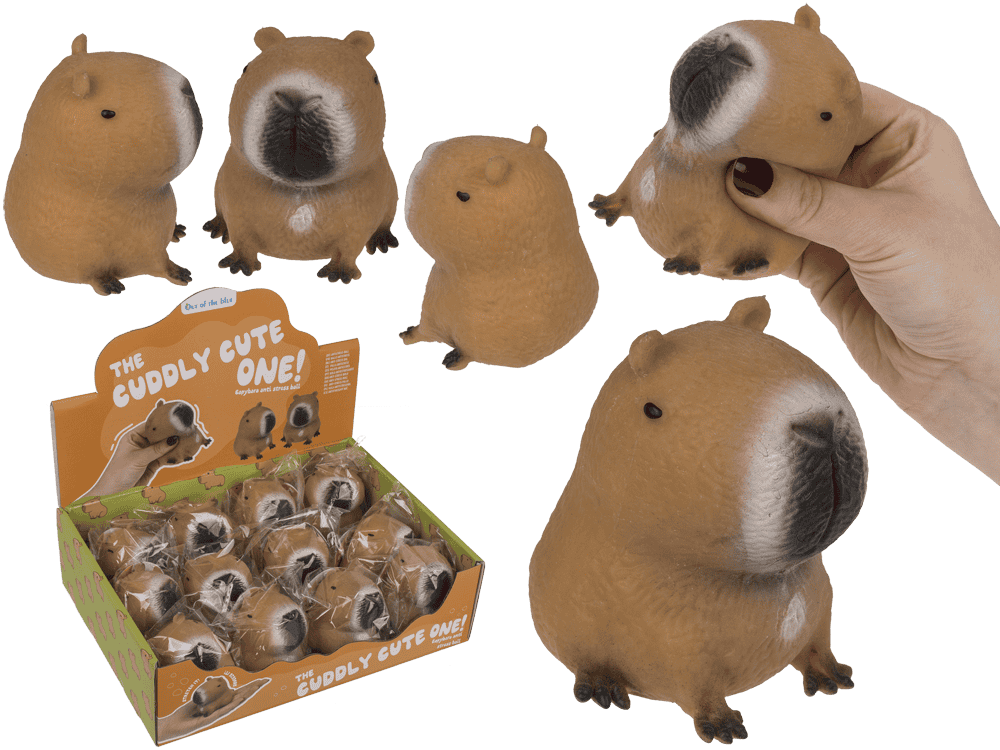 Dsp Squeezie Capybara. 12 stuks in dsp.