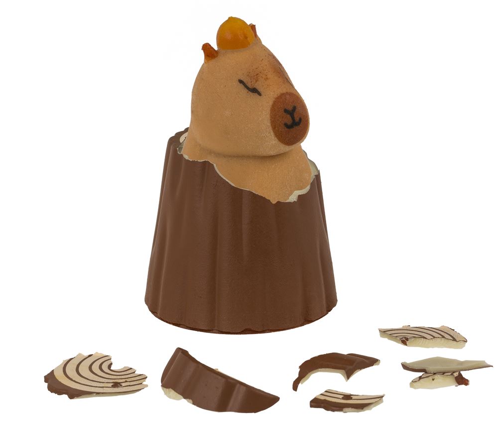 Dsp groei Capybara. 12 stuks in display.