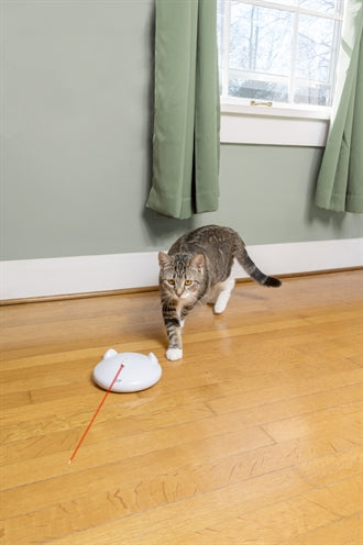 PetSafe