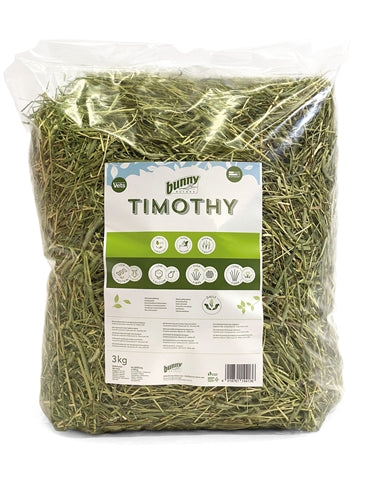 Bunny Nature timothy hooi