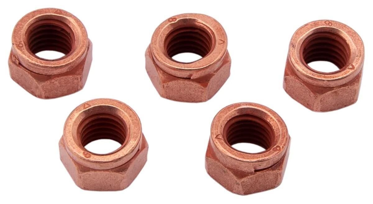 Dresselhaus schlitzmutter thermag slotted nuts 6-point m8x12 5 pcs.