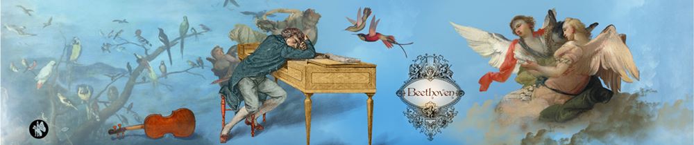 Rondo76 muziekje: Beethoven sleeping (Mo
