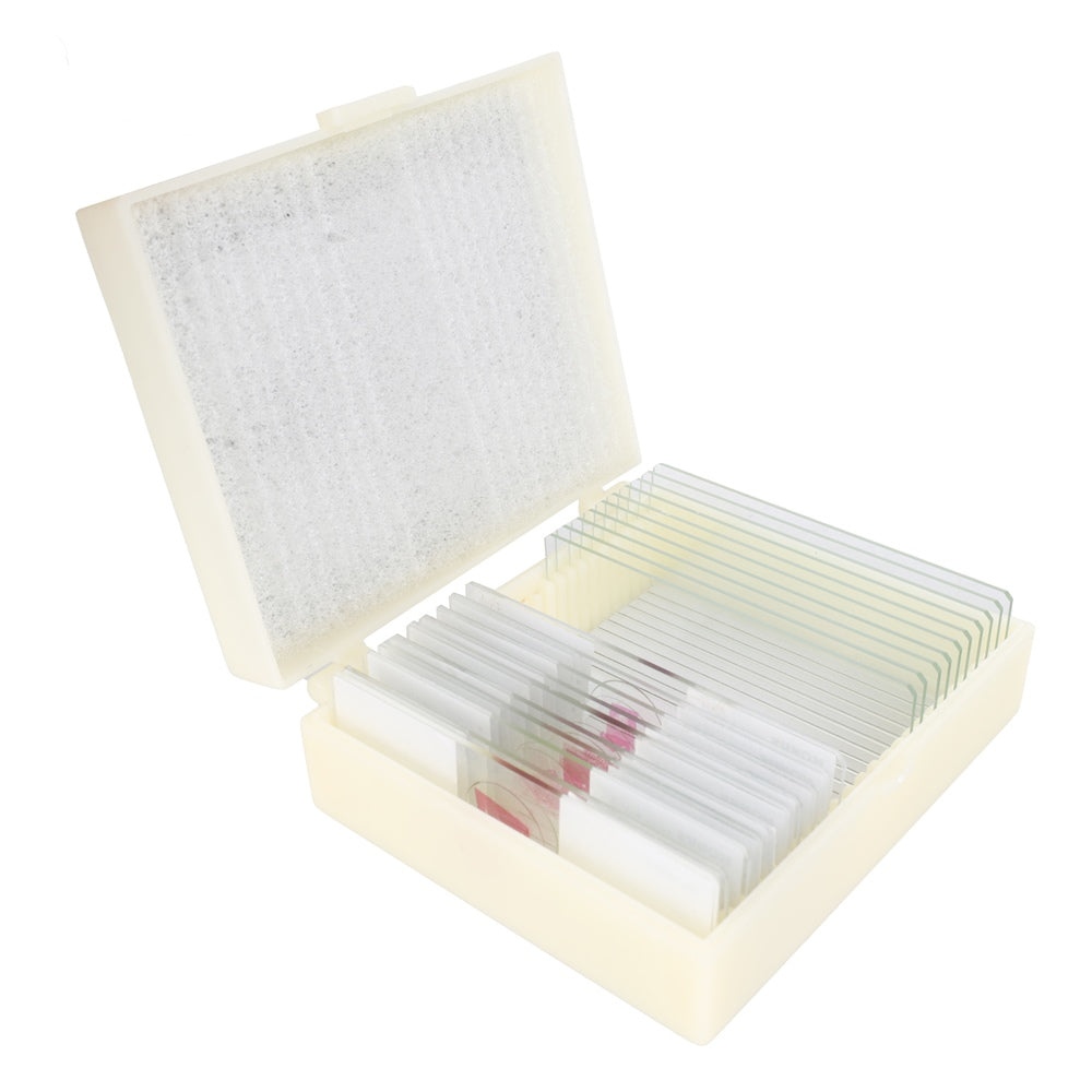 Konus preparaten set wetenschappelijk onderwijs 1 (10 stuks)