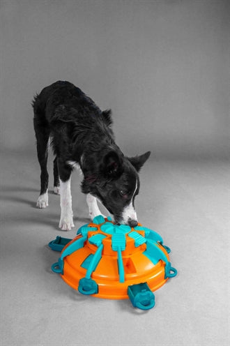 Nina Ottosson tower of treats oranje blauw