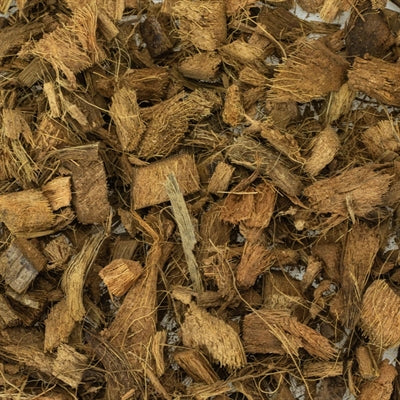 Back Zoo Nature discovery bedding