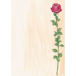 Design papier Sigel A4 90 g m² 25 vel kleurenassortiment
