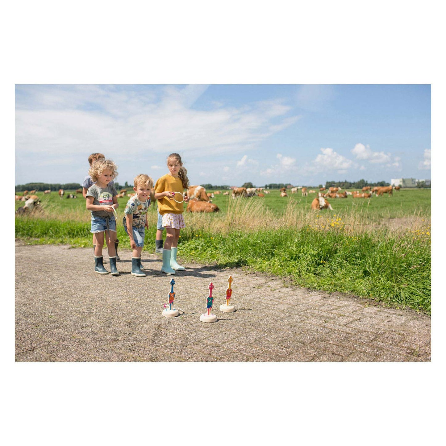 BS Toys ringwerpen vogels hout - werpspel