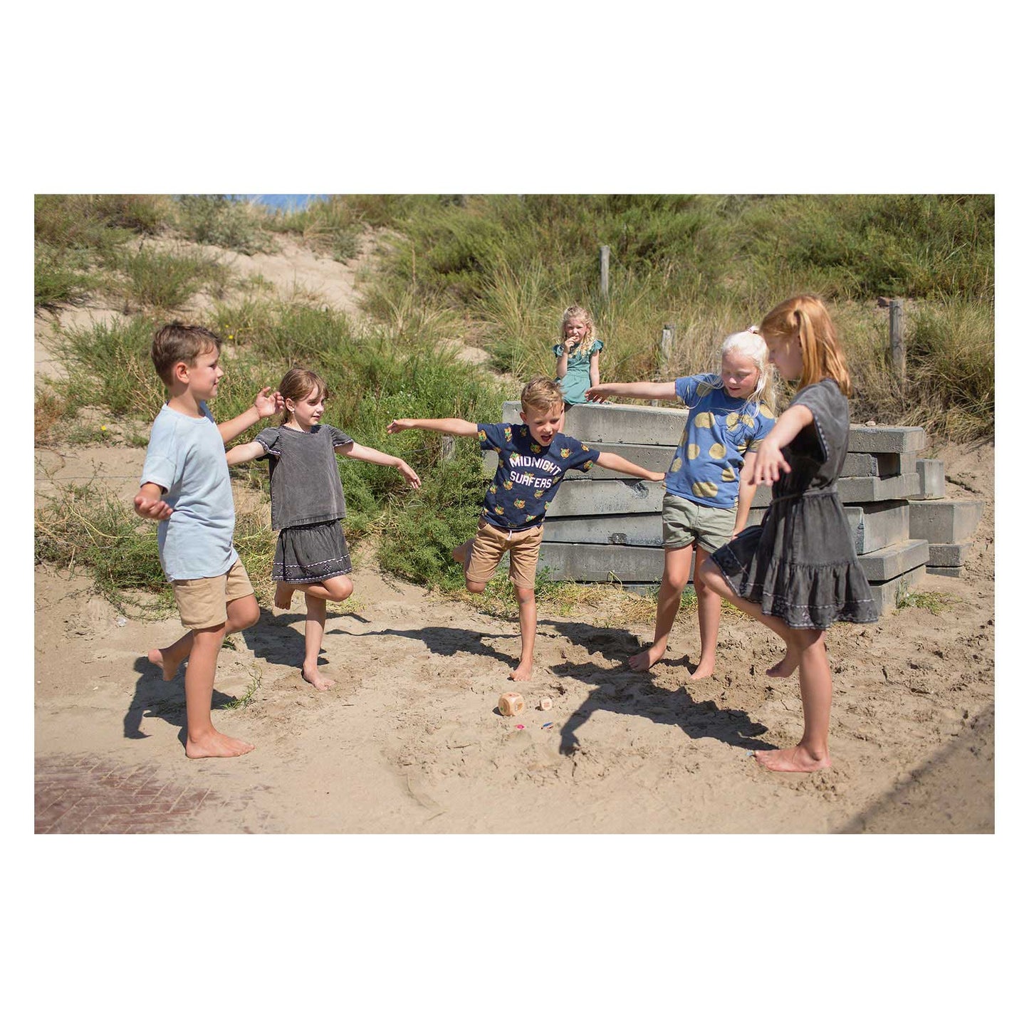BS Toys vogels in actie hout - kinderspel