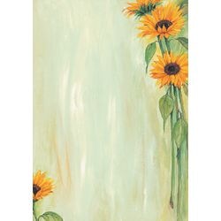 Design papier Sigel A4 90 g m² 25 vel kleurenassortiment