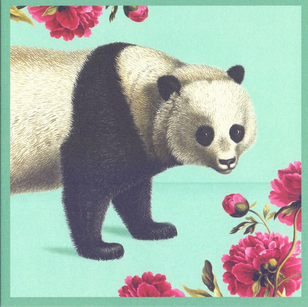 Kaart+envelop Pandabeer. 16x16 cm