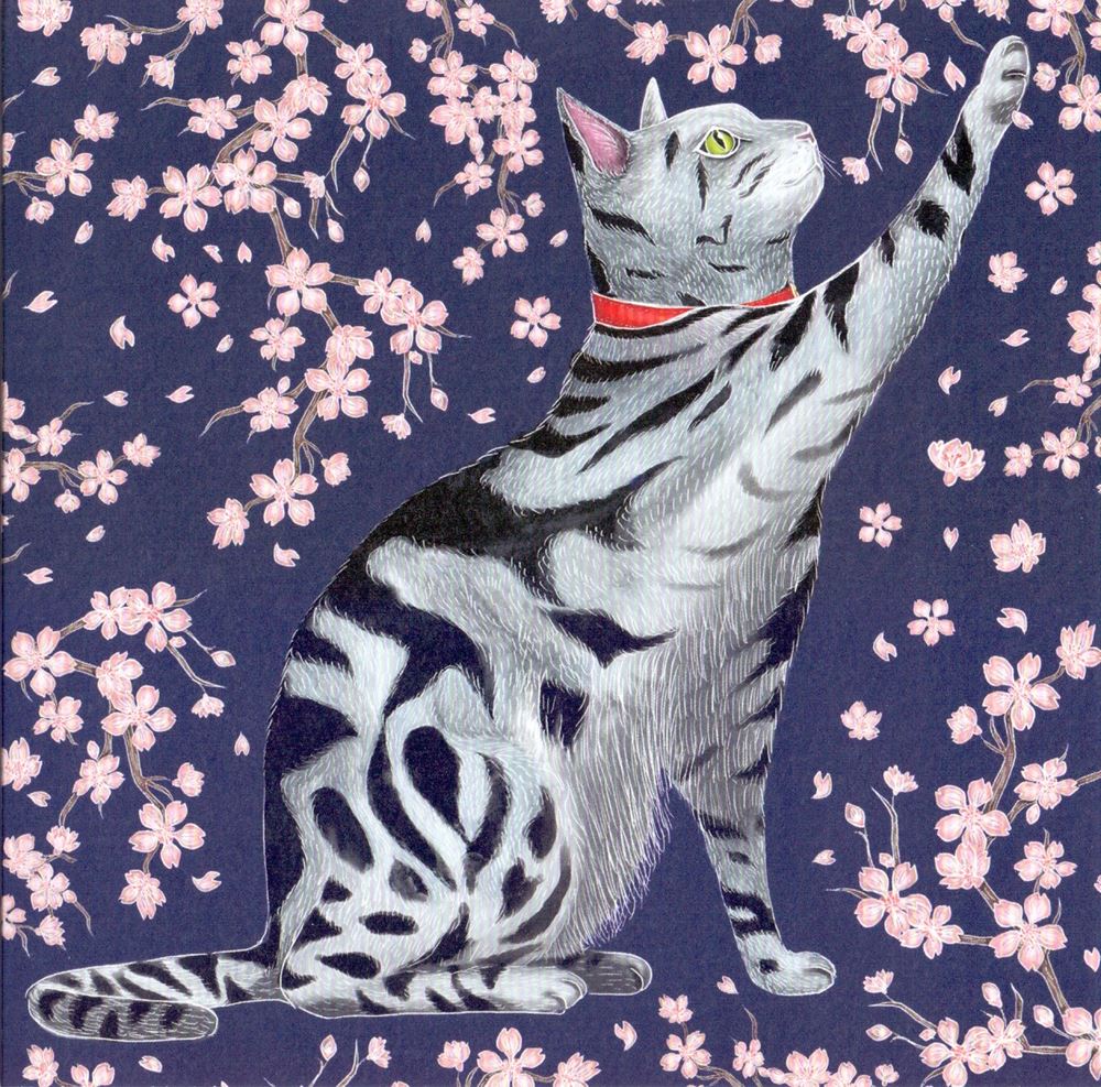 Kaart+envelop. Sakura Poes. 16x16 cm