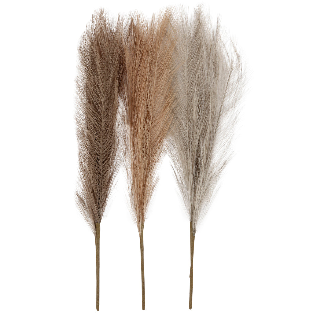 Creativ Company Https: www.cchobby.nl pampasgras-l-50-cm-licht-beige-lichtbruin-lichtgrijs-3-stuk-1-bol