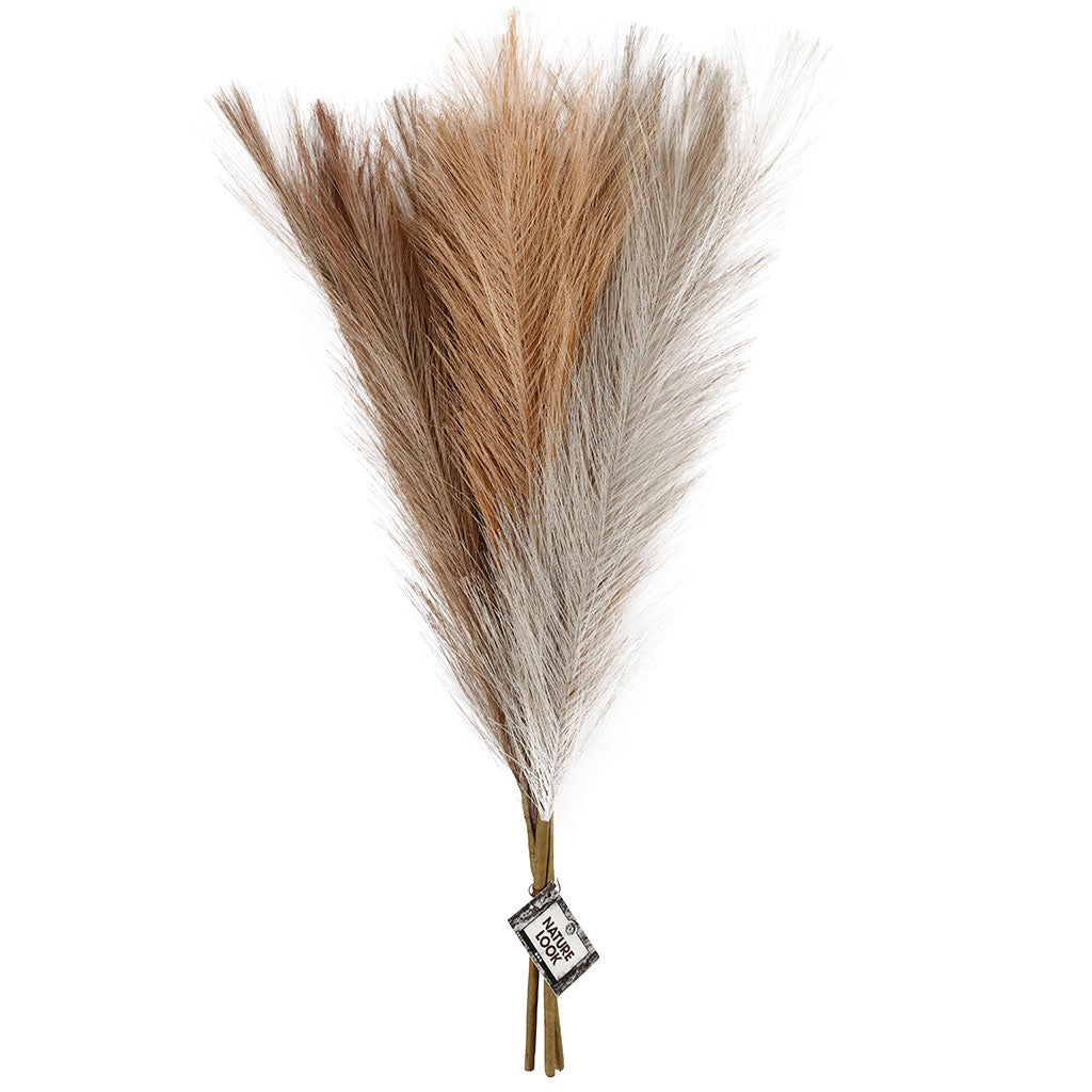 Creativ Company Https: www.cchobby.nl pampasgras-l-50-cm-licht-beige-lichtbruin-lichtgrijs-3-stuk-1-bol