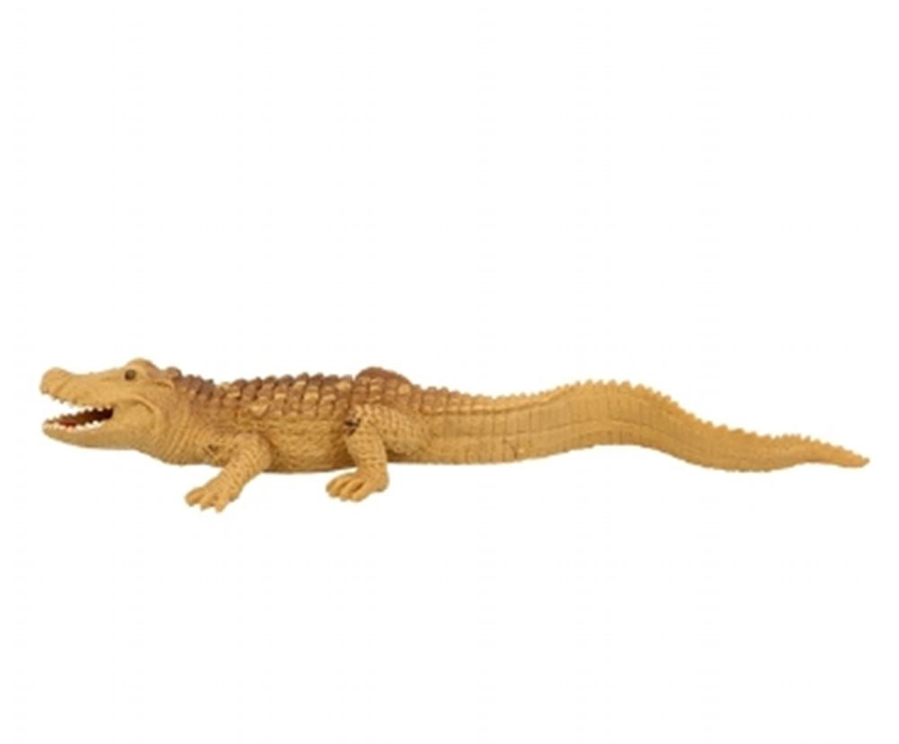 Stretch Kaaiman, 24 cm. 3+