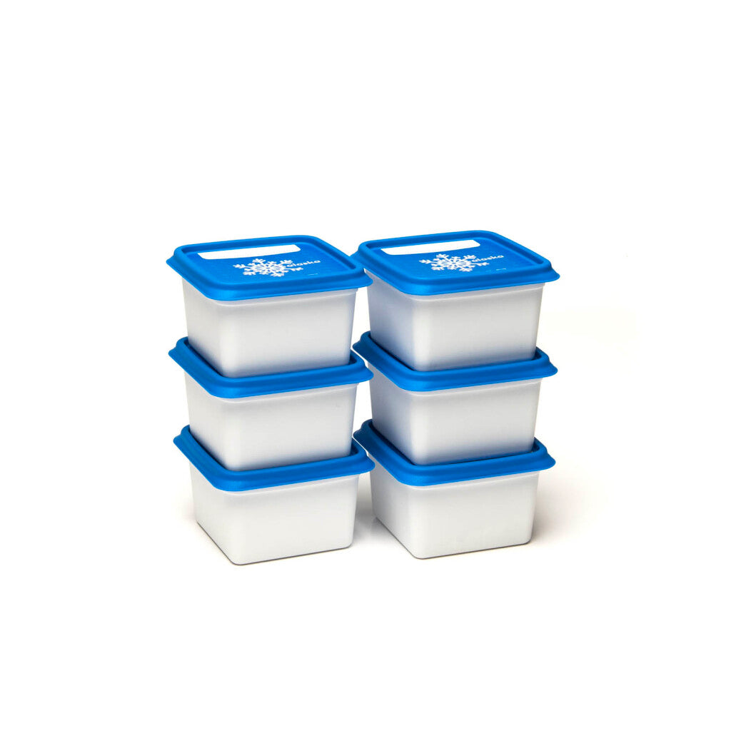 Amuse Dbp alaska diepvriesdoos 200 ml set van 6 stuks