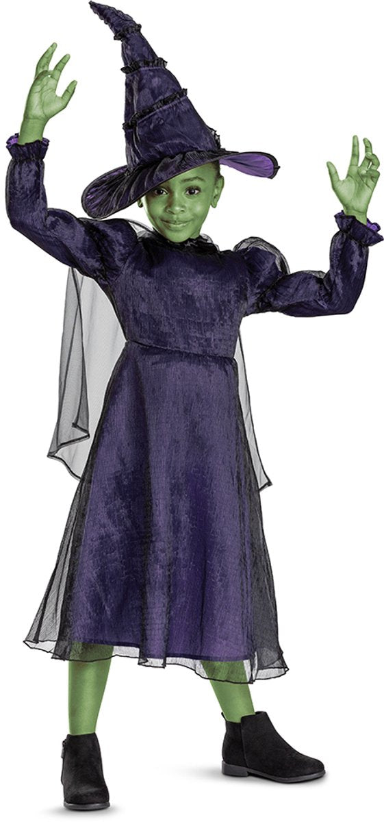 Disguise Wicked (nbc universal), elphaba deluxe, maat xs (3t-4t jaar), meisjes