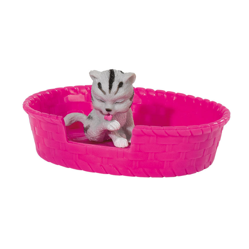 Evi Love dierenvriend poesjes