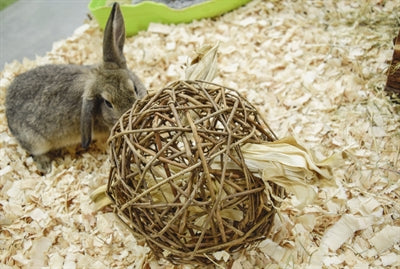 Nature First Happy pet speelbal wilg