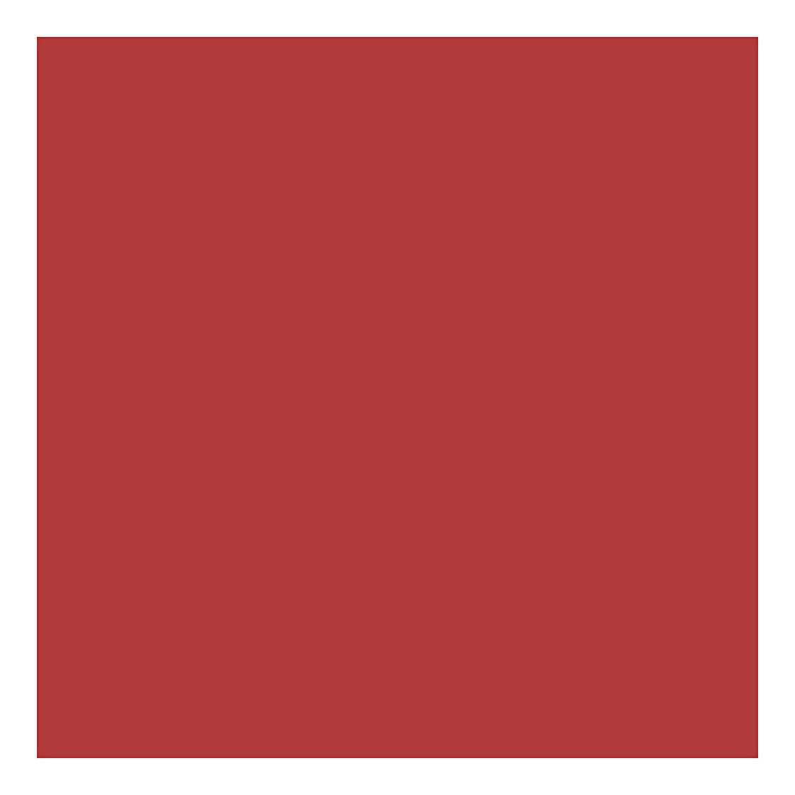 Creativ Company Karton rood a4 220g, 10st.