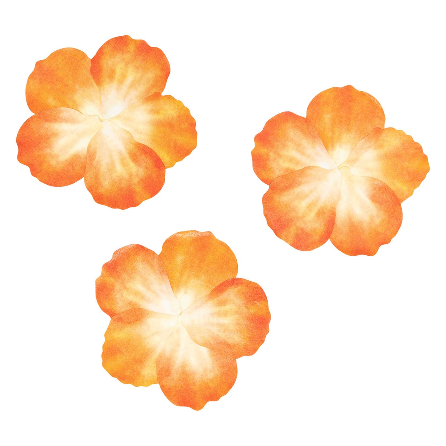 Colorations - washi stickers - oranje bloemblaadjes, 80st.
