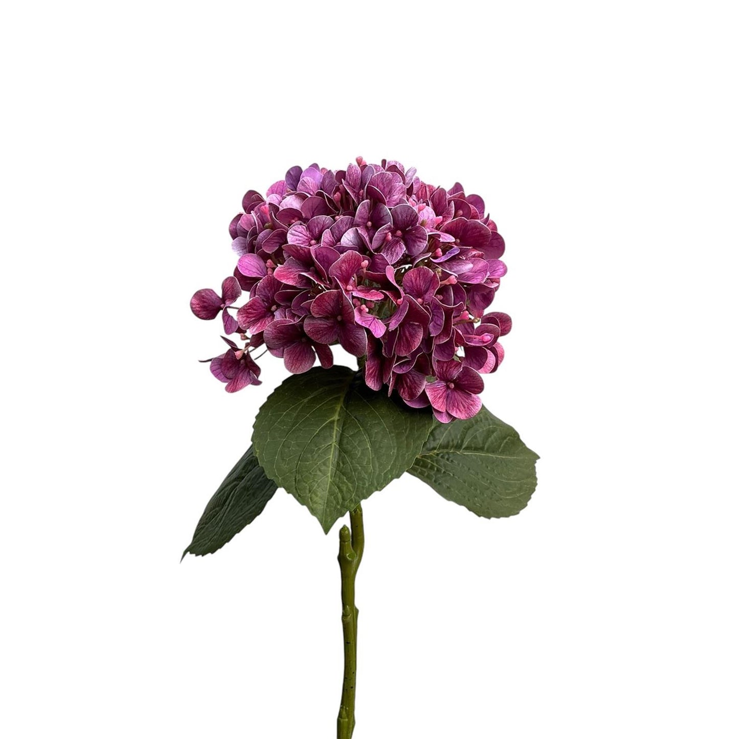 Roberts Collection Hortensia real touch 75cm paars