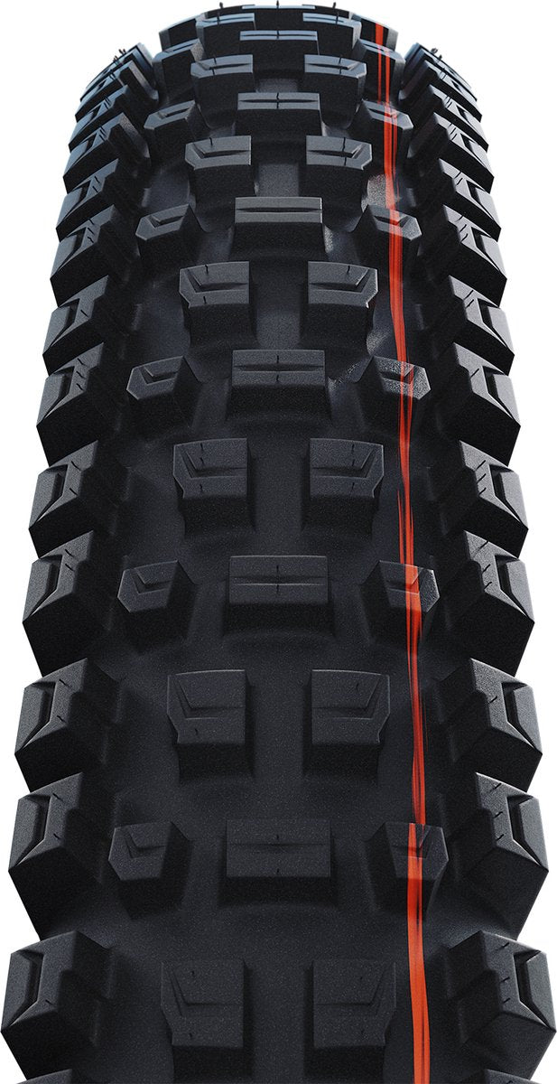 SCHWALBE Buitenband 29 albert gravity pro