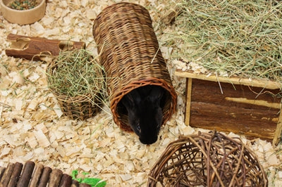 Happy Pet wilgen tunnel