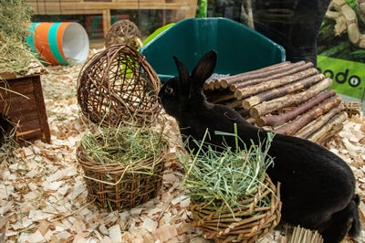 Nature First Happy pet wilgen hooirek