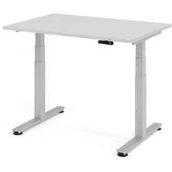 Bach Zit-stabureau hammerer grijs 120x80x127cm