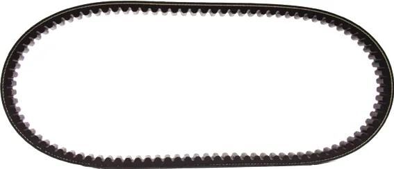 Polini keilriemen verstärkt v-belts verst. 22x834 mm