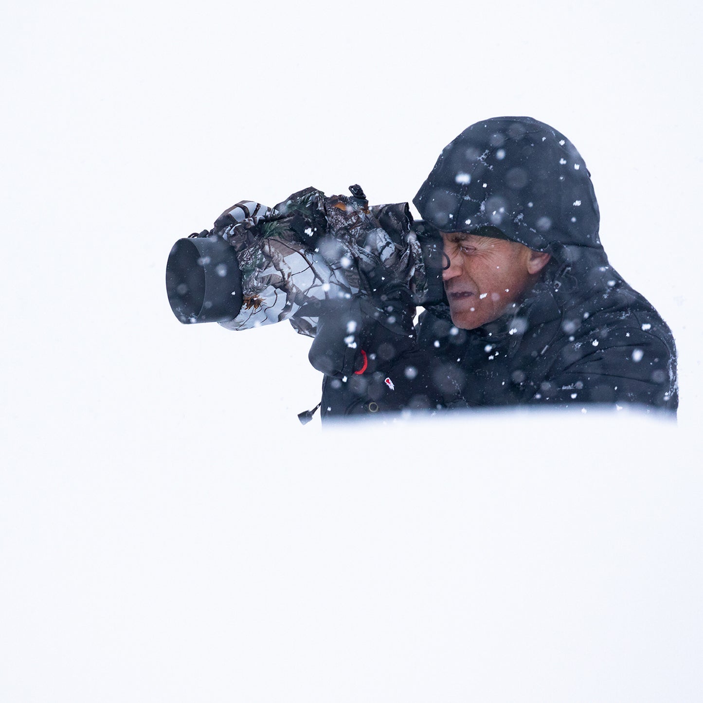 Buteo Photo Gear regenhoes 1 sneeuw