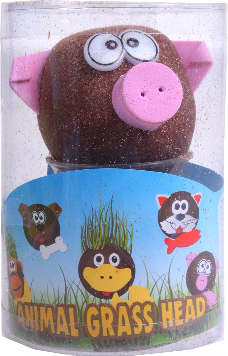 Toys Amsterdam grasvriendjes varken junior 12,5 cm vilt bruin