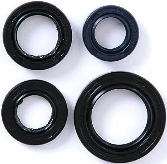 101 OCTANE motorsimmerringsatz simmering set naraku 4-part