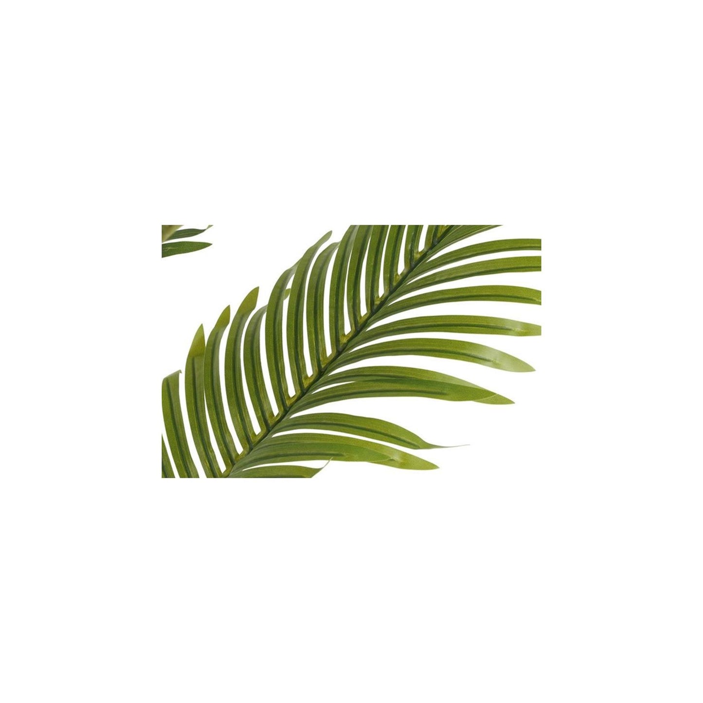 Countryfield Kunstplant kentia m groen h100cm
