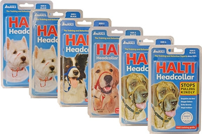 The Company Of Animals Company of animals halti headcollar zwart