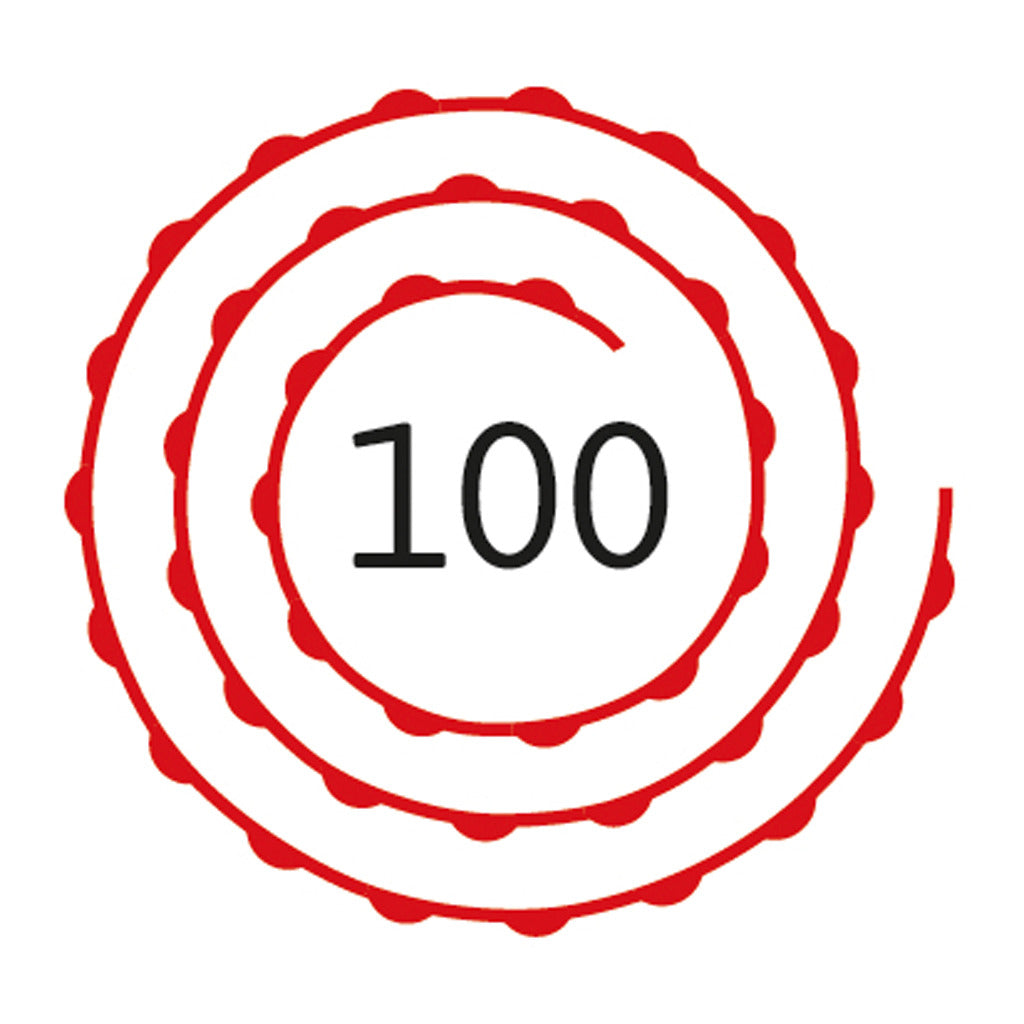 Basic Pistool 100 schots