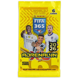 Panini