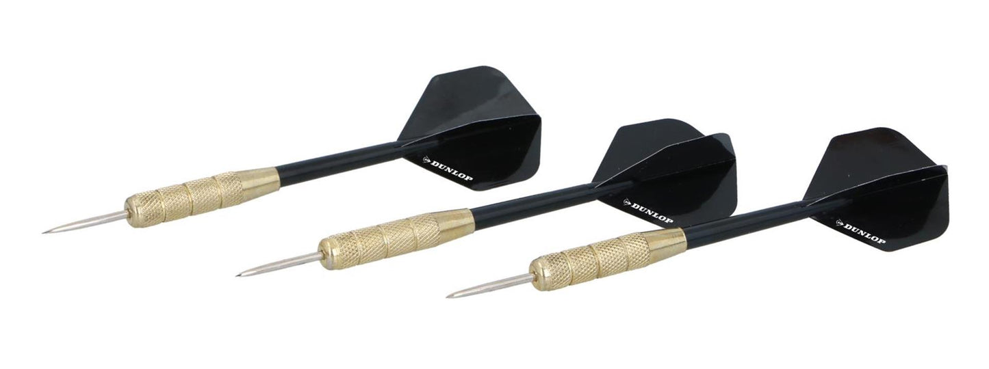 Eddy Toys Masterdarts darts 20gr op kaart